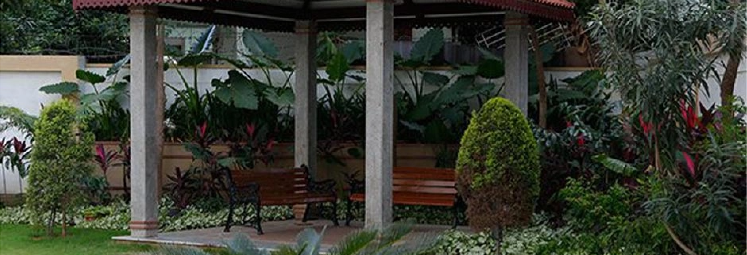 gallery_1777291012_328.png